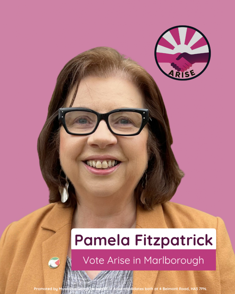 Vote Arise in Marlborough, Pamela Fitzpatrick